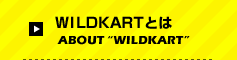 WILDKARTƂ