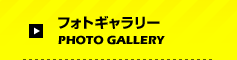 tHgM[